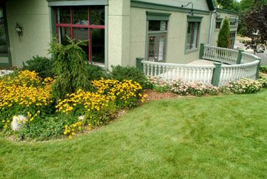 New Landscape